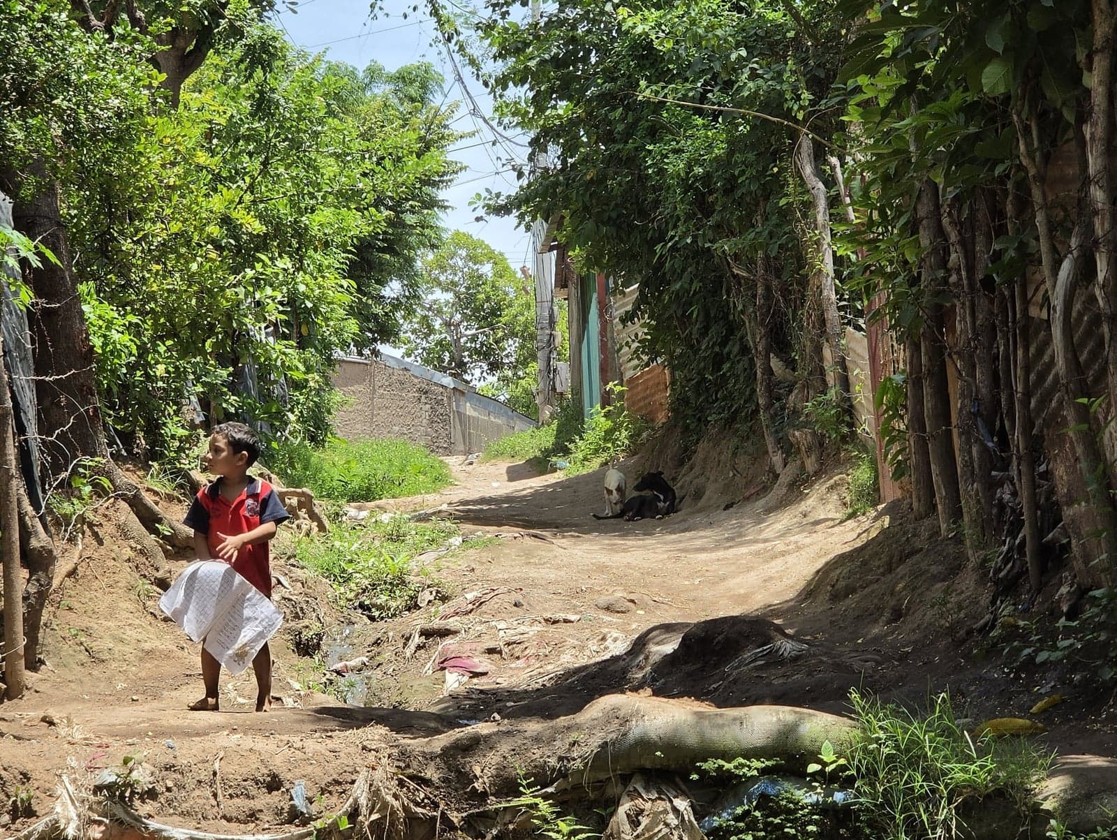 Nicaragua landscape